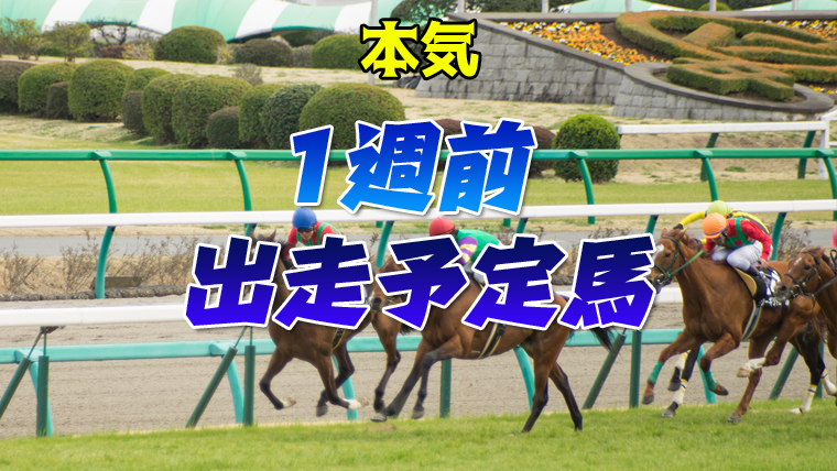 【函館記念】2023出走予定馬 1週前注目馬考察